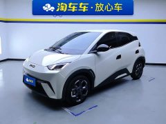 BYD Seagull 305km Freedom Edition - ფოტო 1