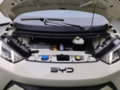 BYD Seagull 305km Freedom Edition - ფოტო 10