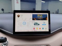 BYD Seagull 305km Freedom Edition - ფოტო 13