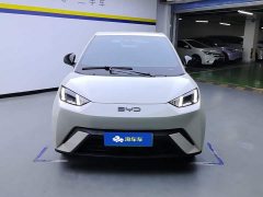 BYD Seagull 305km Freedom Edition - ფოტო 2