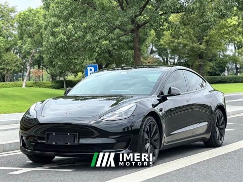 2022 Tesla Model 3 Rear-Wheel Drive - ავტომობილი ჩინეთიდან