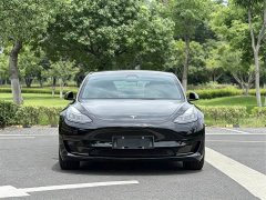 Tesla Model 3 Rear-Wheel Drive - ფოტო 2