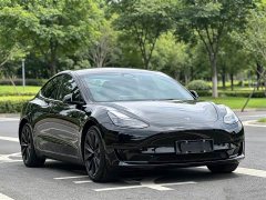Tesla Model 3 Rear-Wheel Drive - ფოტო 3