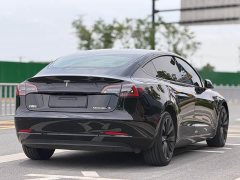 Tesla Model 3 Rear-Wheel Drive - ფოტო 9