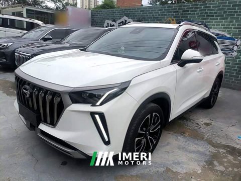 2022 GAC Aion GS4 PLUS 390T Automatic Nebula Edition - car from China