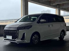 MAXUS G20 Facelift PLUS 2.0T Diesel Auto Luxury Edition - фото 2