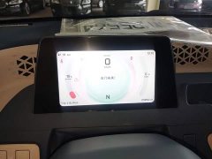 Dongfeng Fengguang MINIEV Stylish Luxury Edition - ფოტო 11