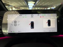 BYD Dolphin Smart Drive 410km Fashion Edition - photo 14