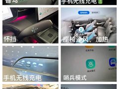 BYD Dolphin Smart Drive 410km Fashion Edition - photo 9