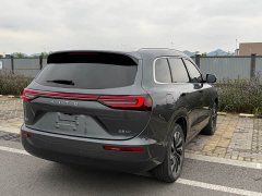 AITO Wenjie M7 1.5T AWD Luxury - ფოტო 10