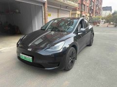 Tesla Model Y Rear-Wheel Drive - photo 1