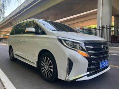 GAC Aion M8 Premier Series 390T Supreme Edition - фото 2