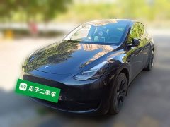 Tesla Model Y Rear-Wheel Drive - ფოტო 1