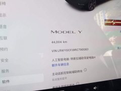 Tesla Model Y Rear-Wheel Drive - ფოტო 8