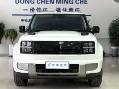 Great Wall H10 Hi4 Ultra 6-Seat Edition - photo 2