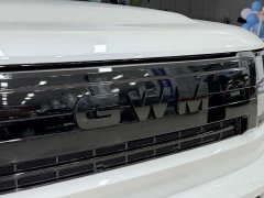 Great Wall H10 Hi4 Ultra 6-Seat Edition - photo 9