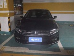 Volkswagen Magotan 2 Million Units Commemorative Edition 330TSI DSG Luxury - фото 2