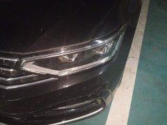 Volkswagen Magotan 2 Million Units Commemorative Edition 330TSI DSG Luxury - фото 5