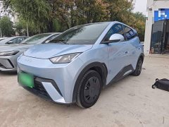 BYD Seagull Glory Edition 305km Vitality Version - ფოტო 1