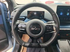 BYD Seagull Glory Edition 305km Vitality Version - ფოტო 10
