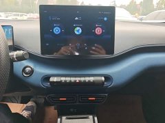 BYD Seagull Glory Edition 305km Vitality Version - ფოტო 12