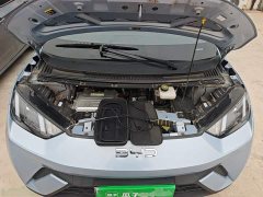 BYD Seagull Glory Edition 305km Vitality Version - ფოტო 19