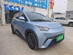 BYD Seagull Glory Edition 305km Vitality Version - ფოტო 3