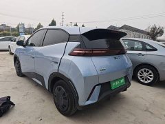 BYD Seagull Glory Edition 305km Vitality Version - ფოტო 4