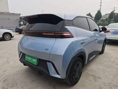 BYD Seagull Glory Edition 305km Vitality Version - ფოტო 6
