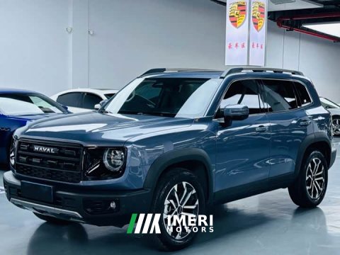 2025 Great Wall Dachshund 1.5T DCT Border Collie Edition - автомобиль из Китая