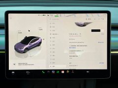 Tesla Model 3 Performance All-Wheel Drive - ფოტო 9