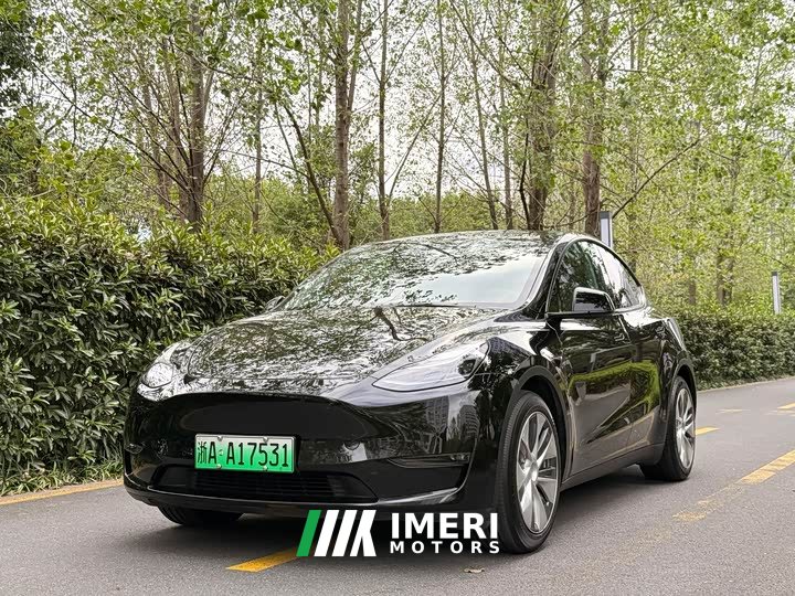 Tesla Model Y Standard Range RWD - автомобиль из Китая