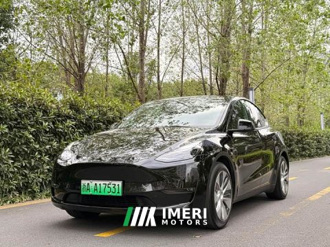 2022 Tesla Model Y Standard Range RWD - автомобиль из Китая