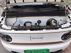 Geely Panda Mini 200km Endurance Edition - ფოტო 16