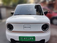 Geely Panda Mini 200km Endurance Edition - ფოტო 2