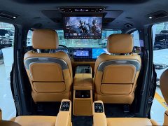 Great Wall WEY Shanshan New Energy Four-Wheel Drive Shanshan 8 - photo 17