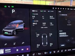 Li Auto L9 Max - ფოტო 9