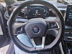 BYD Qin PLUS Glory Edition DM-i 55KM Leading - photo 15