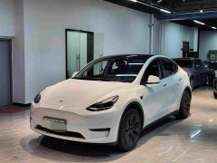 Tesla Model Y Rear-Wheel Drive - ფოტო 1