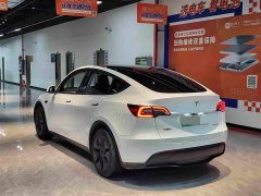 Tesla Model Y Rear-Wheel Drive - ფოტო 11