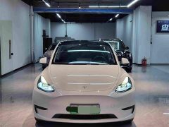 Tesla Model Y Rear-Wheel Drive - ფოტო 2
