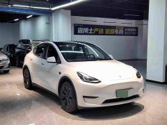 Tesla Model Y Rear-Wheel Drive - ფოტო 3