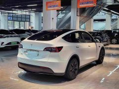 Tesla Model Y Rear-Wheel Drive - ფოტო 9