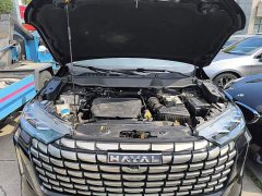 Haval H6 1.5T Two-Wheel Drive Max - ფოტო 19