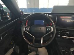 Haval Haver Rabbit 1.5L DHT - ფოტო 14