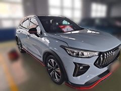 Haval Haver Rabbit 1.5L DHT - ფოტო 5