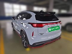 Haval Haver Rabbit 1.5L DHT - ფოტო 6