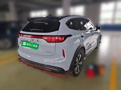 Haval Haver Rabbit 1.5L DHT - ფოტო 9