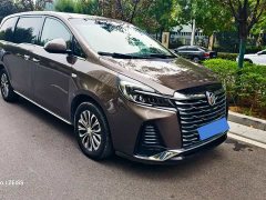 Buick GL8 Land Executive Cabin 652T Luxury - ფოტო 2