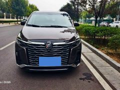 Buick GL8 Land Executive Cabin 652T Luxury - ფოტო 3